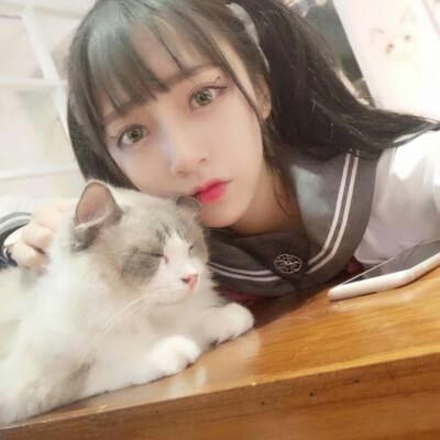 宝宝巴士宝宝启蒙第一步手机版下载